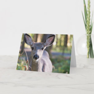 Columbian Black-tailed Doe   Washington State Card