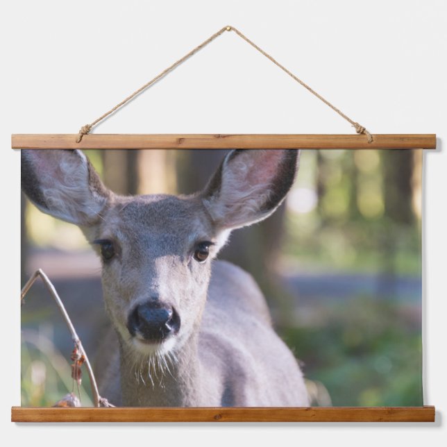 Columbian Black-tailed Doe | Washington State Hanging Tapestry (Front)