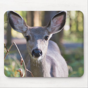 Columbian Black-tailed Doe   Washington State Mouse Pad