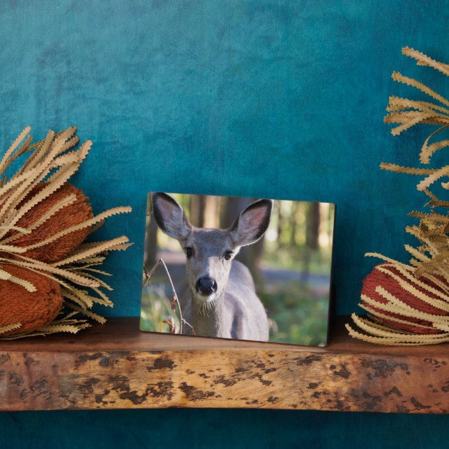 Columbian Black-tailed Doe | Washington State Plaque (Side)