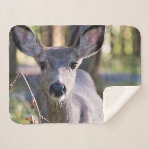 Columbian Black-tailed Doe   Washington State Sherpa Blanket