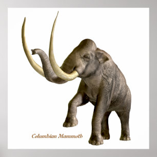 Columbian Mammoth Print
