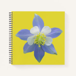 Columbine 2 notebook
