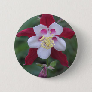 Columbine 6 Cm Round Badge