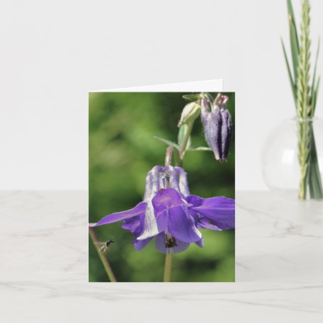 Columbine And Bee Flower Photography Note Card (Front)