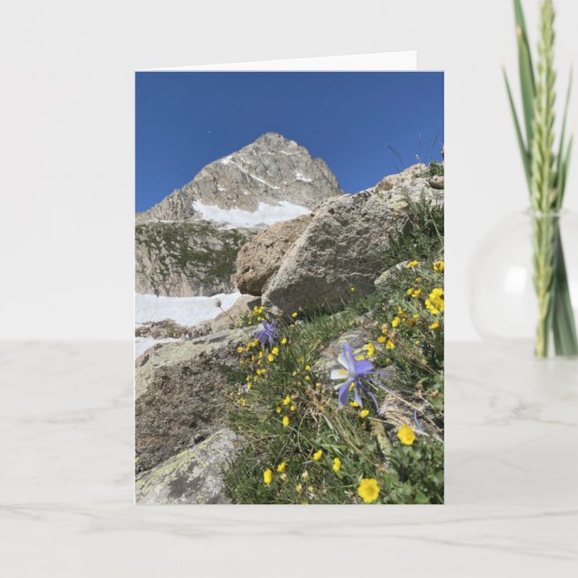 Columbine Beneath Paiute Peak Card (Front)