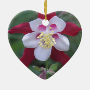 Columbine Ceramic Ornament