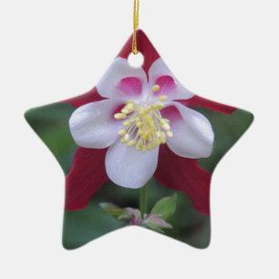 Columbine Ceramic Tree Decoration