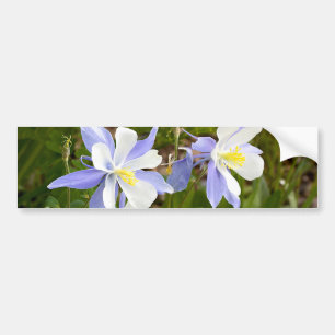 Columbine Family Bumper Sticker