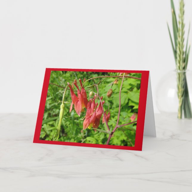 Columbine Flower Blank Note Card (Front)