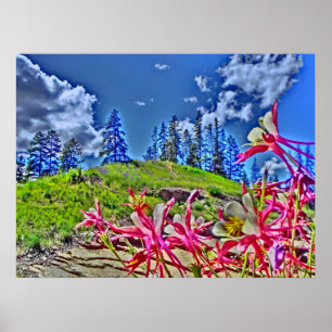 Columbine flower scenic canvas print