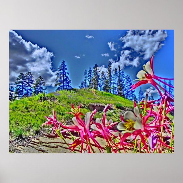 Columbine flower scenic canvas print (Front)