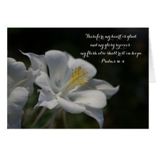 Columbine Flower Shooting Star Psalm 16:9