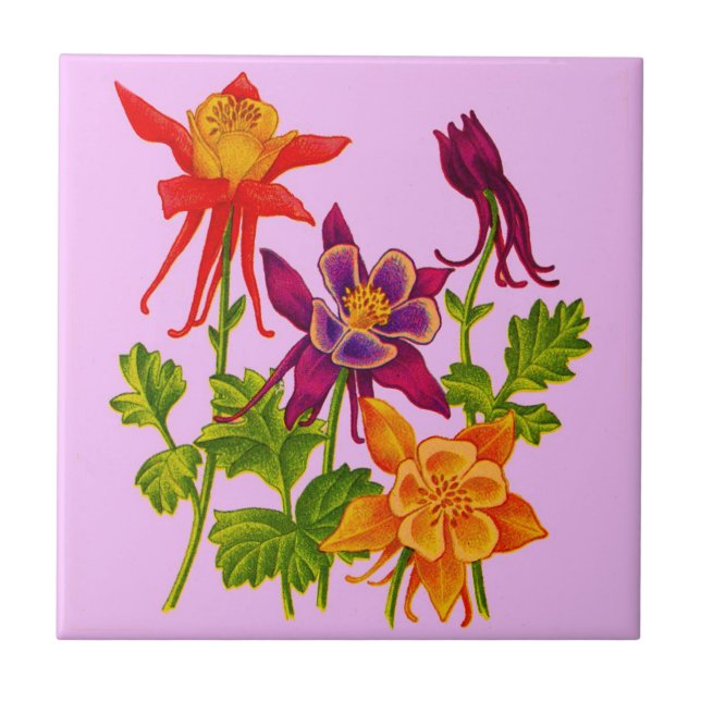 columbine flowers ceramic tile (Front)