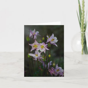 Columbine Flowers Note Card