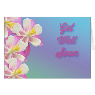 Columbine Get Well Soon Flower Pink & White