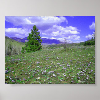 Columbine Hill Poster