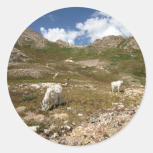 Columbine Lake Mountain Goats - Colorado Classic Round Sticker