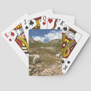 Columbine Lake Mountain Goats - Colorado Playing Cards