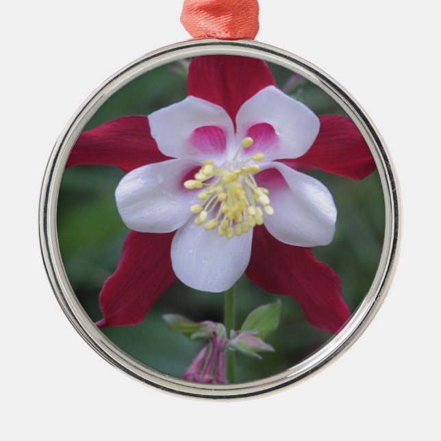 Columbine Metal Tree Decoration (Front)
