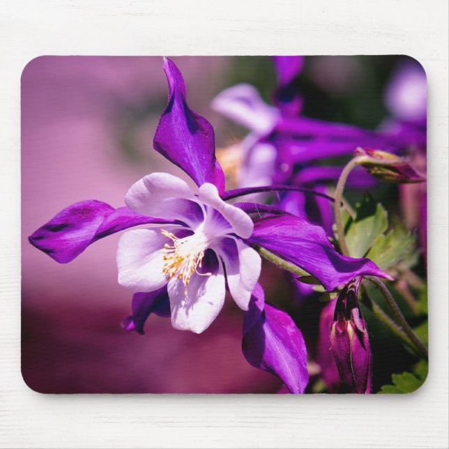 Columbine Mouse Pad (Front)