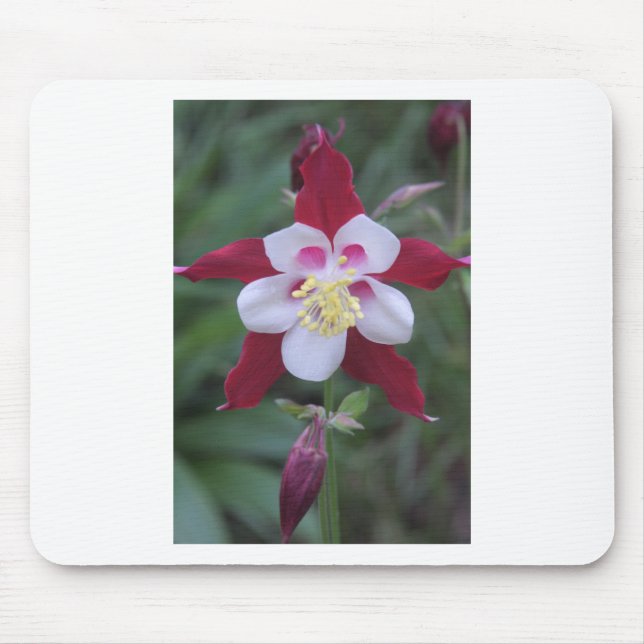 Columbine Mouse Pad (Front)