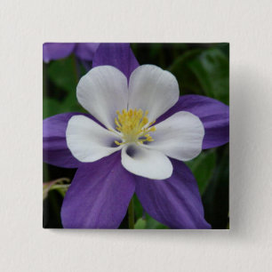 Columbine Purple and White Flower Button