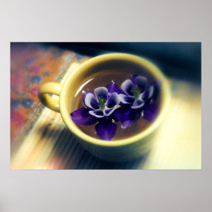 Columbines Poster
