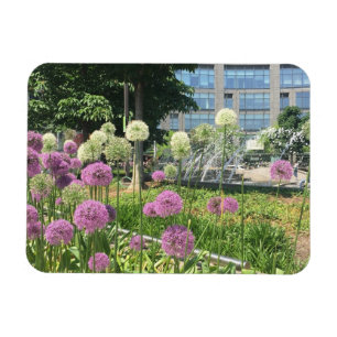 Columbus Circle NYC Allium Fountain Flowers Photo Magnet