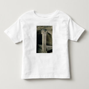 Column from the crypt, with the head of Moses Toddler T-Shirt