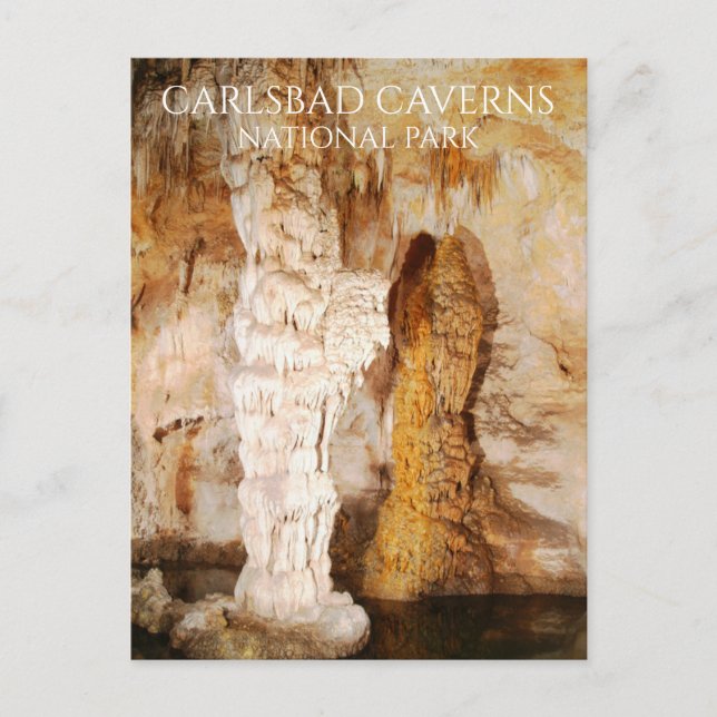 Columns Stalactites Stalagmites  Carlsbad Caverns Postcard (Front)