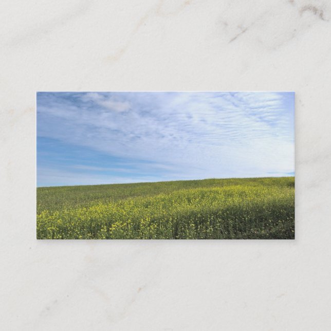 Colza Field - Business Card (Front)