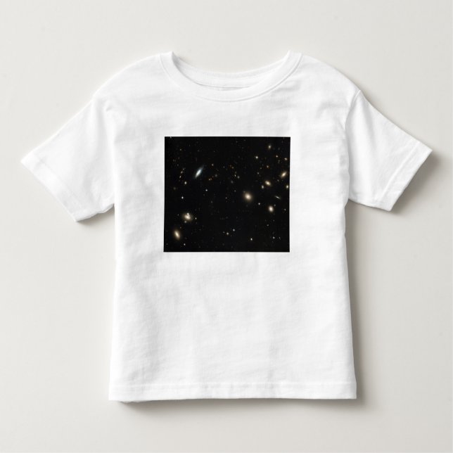 Coma Cluster of galaxies Toddler T-Shirt (Front)