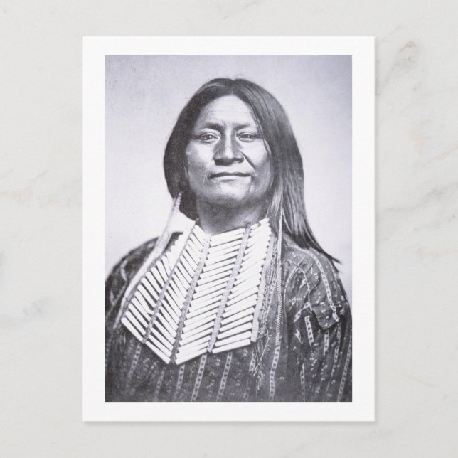 Comanche Tribesman, 1872 (b/w photo) Postcard (Front)