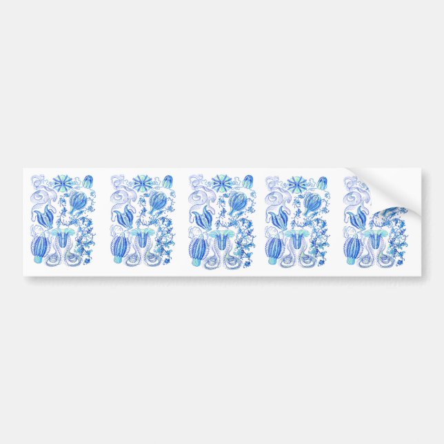 Comb jellies bumper sticker (Front)