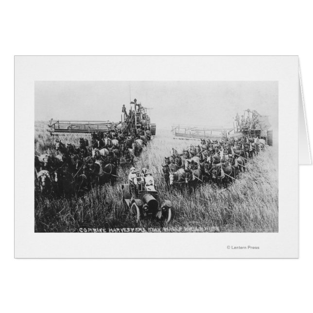 Combine Harvester Scene (Front Horizontal)