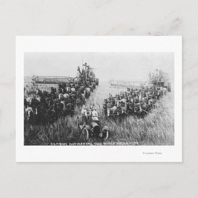 Combine Harvester Scene Postcard (Front)