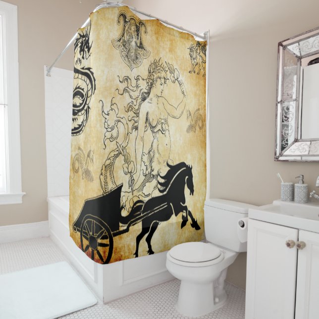 combo 25 shower curtain (In Situ)