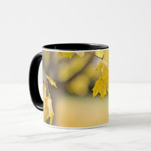 Combo Mug