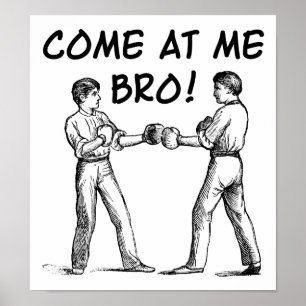 Come At Me Bro Funny Poster