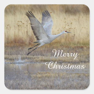 come fly with me, Merry Christmas Square Sticker