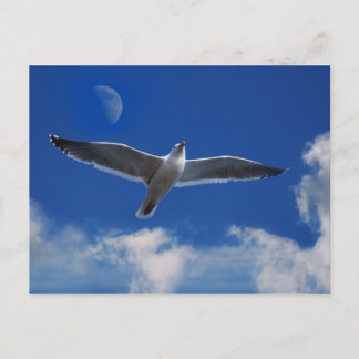 Come Fly With Me Postcard