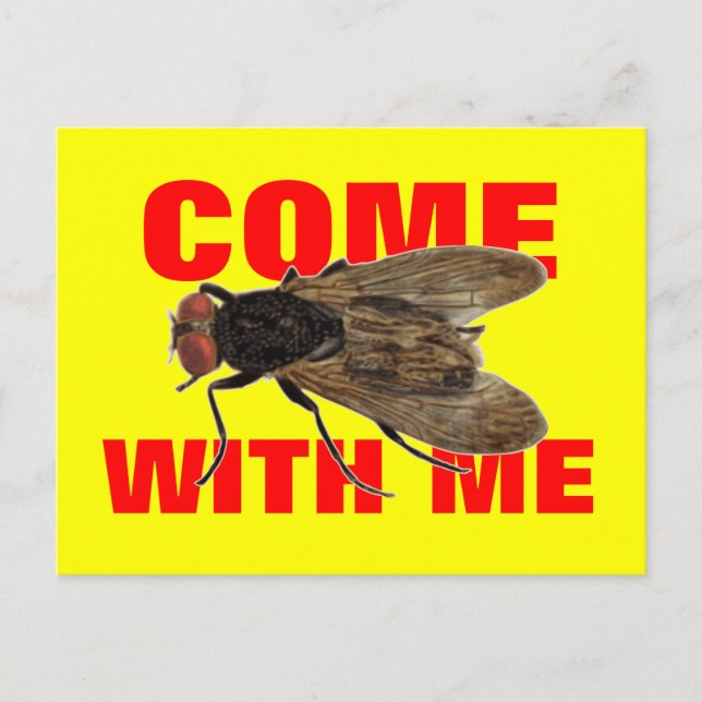 Come Fly With Me Postcard (Front)