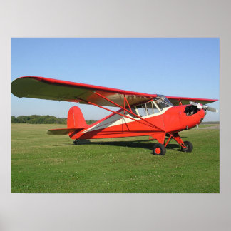 Come fly with me poster