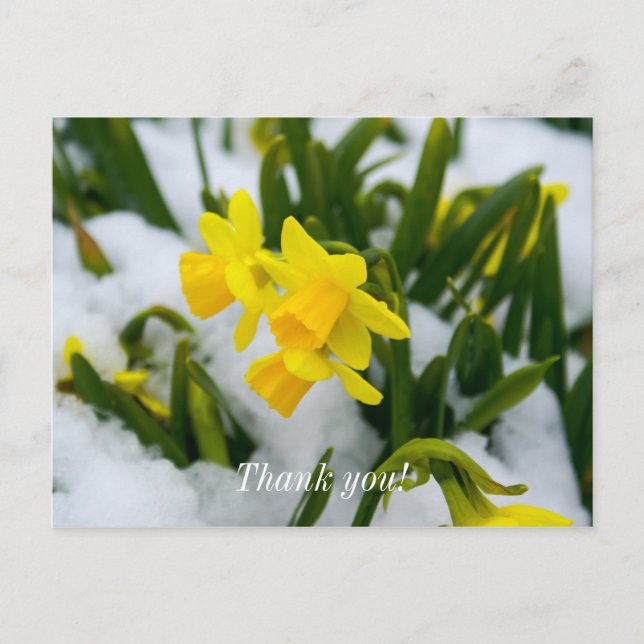 Come On Spring Time Thank You Postcard (Front)