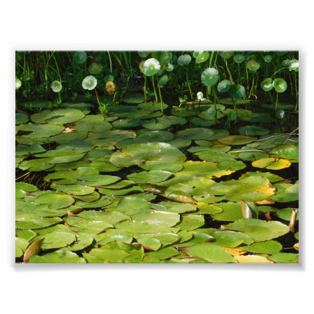 Come Out Wherever You Are Photo Print (Front)