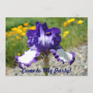 Come to My Party! Birthday Party Fun Invitations