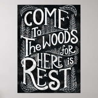 Come to the woods for here is rest - John Muir Poster