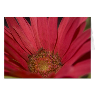 Come to Your Senses Card