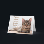 *COMEDIC CAT* FOR MY *SISTER'S* BIRTHDAY CARD<br><div class="desc">THANKS FOR STOPPING BY ONE OF MY EIGHT STORES</div>